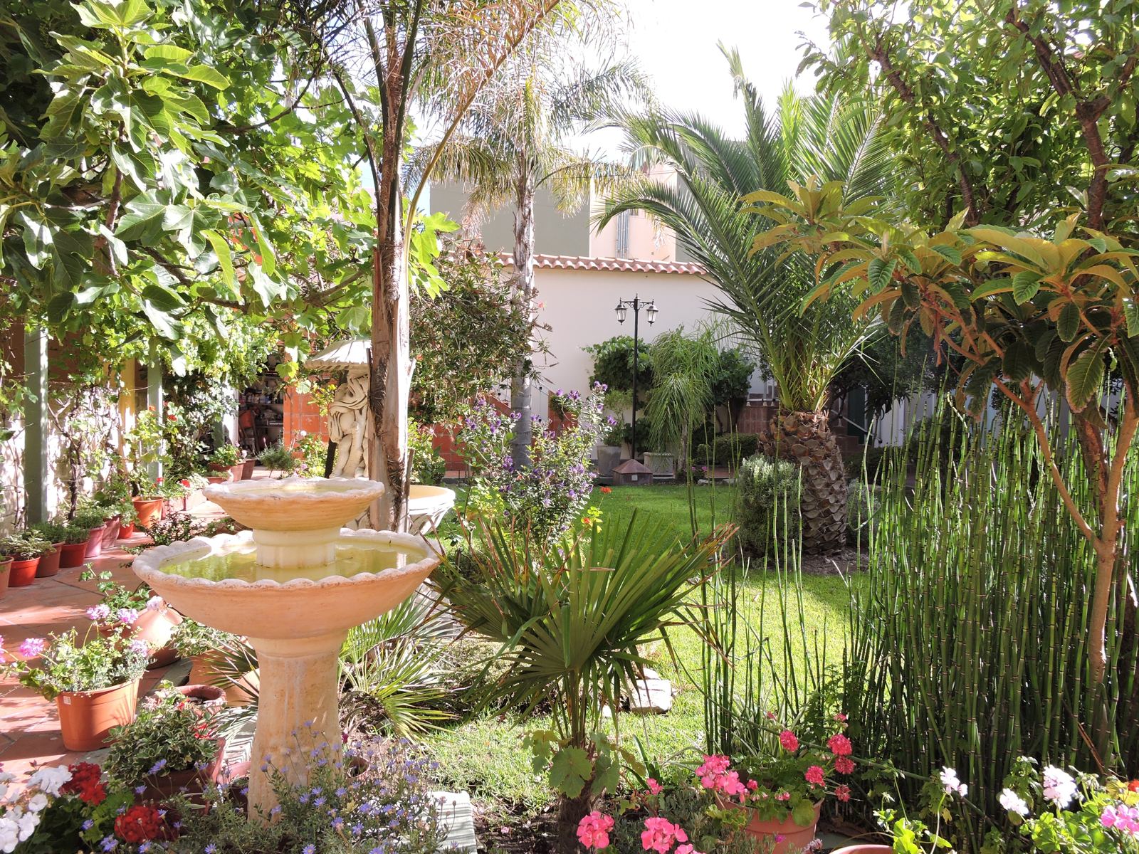 Jardín del complejo con la fuente